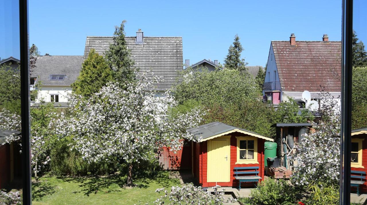 Am Stadtgarten Simmern Exterior foto